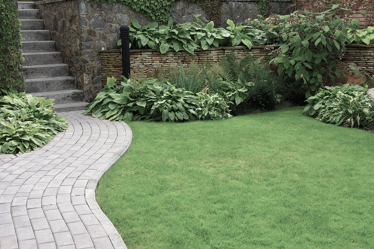 Welcome to NW Landscaping